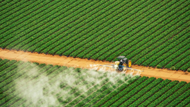 Best Mosquito Control Services  in Bell Gardens, CA