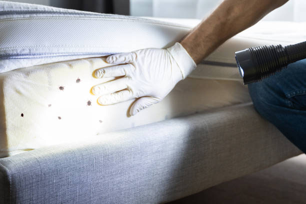 Pest Control for Restaurants in Bell Gardens, CA