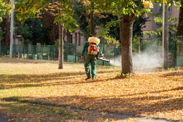 Professional Pest Control in Bell Gardens, CA