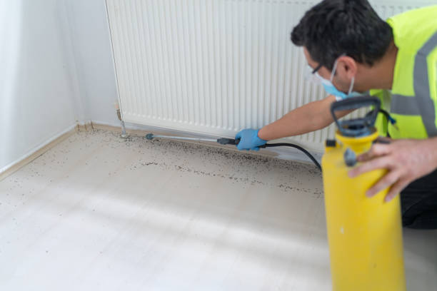Best Pest Inspection Near Me  in Bell Gardens, CA