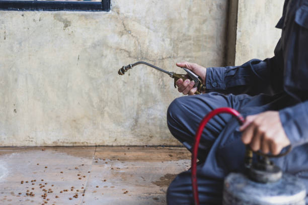 Pest Prevention Services in Bell Gardens, CA